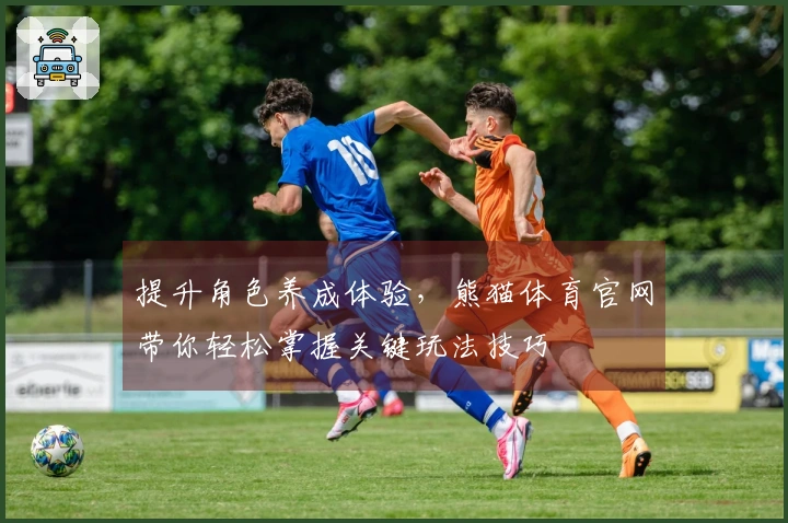 提升角色养成体验，熊猫体育官网带你轻松掌握关键玩法技巧