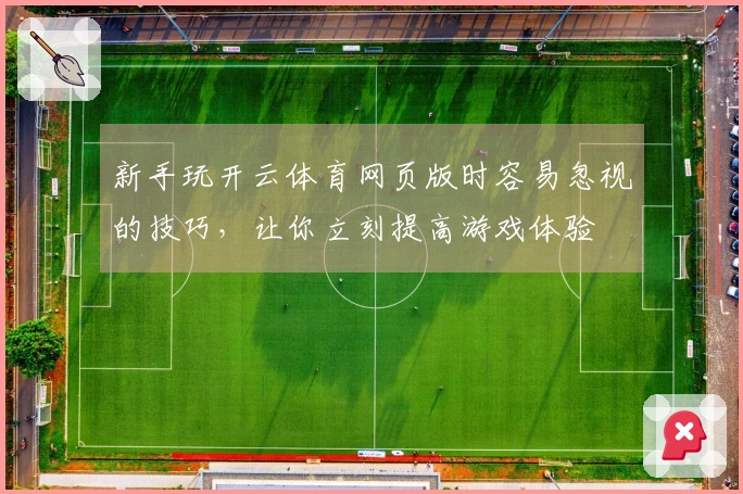 新手玩开云体育网页版时容易忽视的技巧,让你立刻提高游戏体验